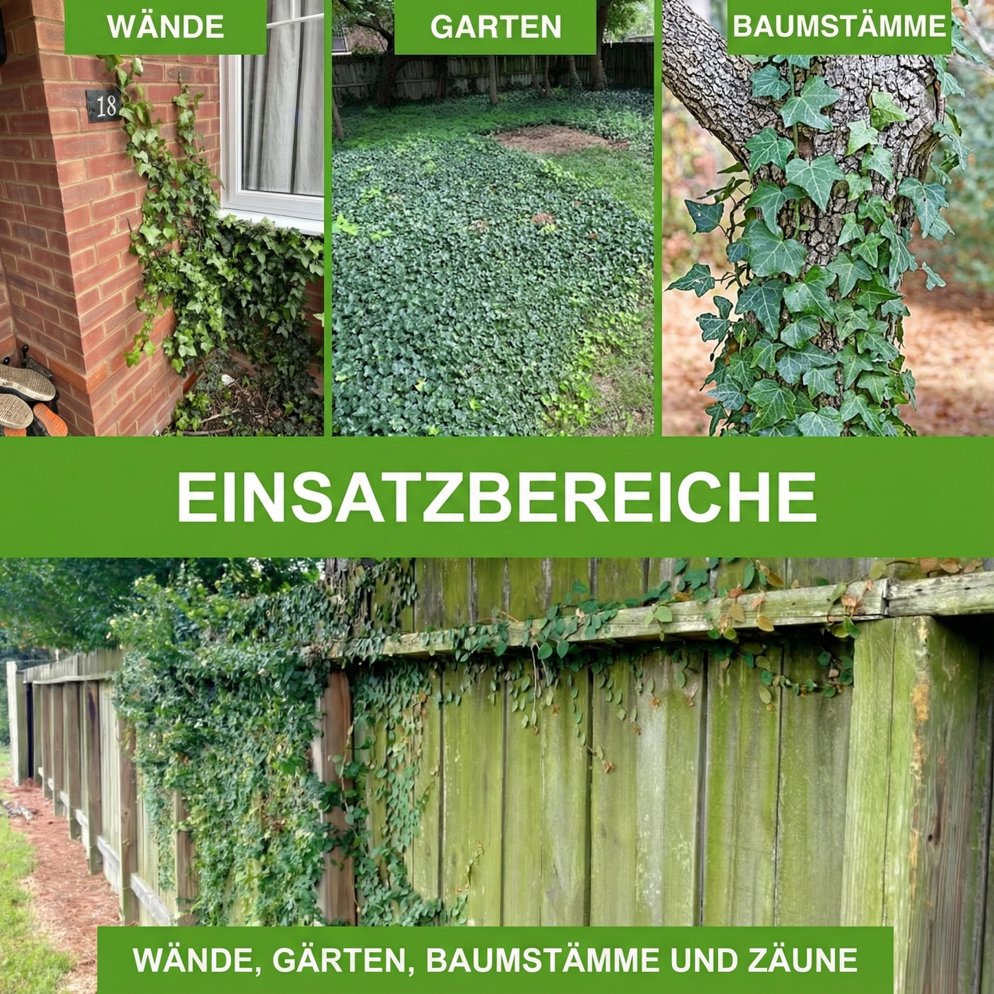 GFOUK® IvySeal Präzisions-Wurzelgel