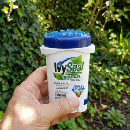 GFOUK® IvySeal Präzisions-Wurzelgel