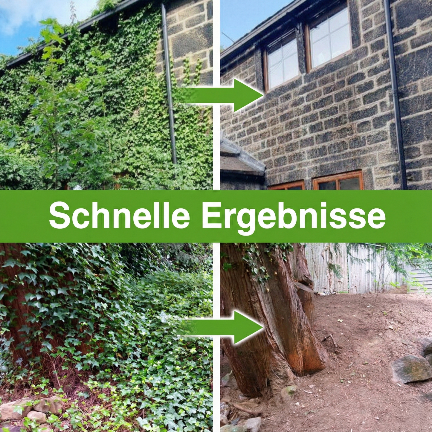 GFOUK® IvySeal Präzisions-Wurzelgel