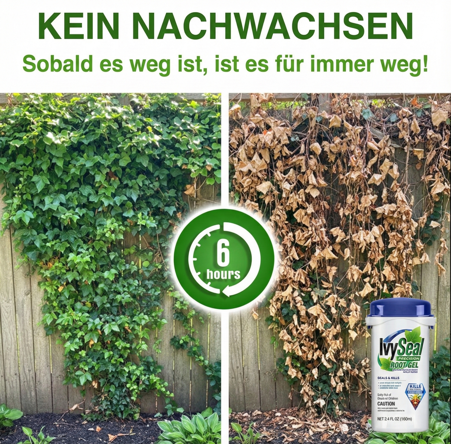 GFOUK® IvySeal Präzisions-Wurzelgel