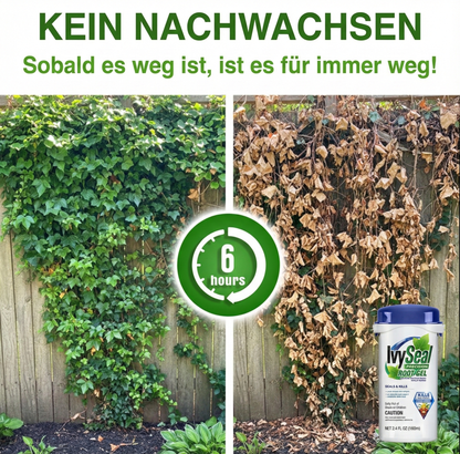 GFOUK® IvySeal Präzisions-Wurzelgel