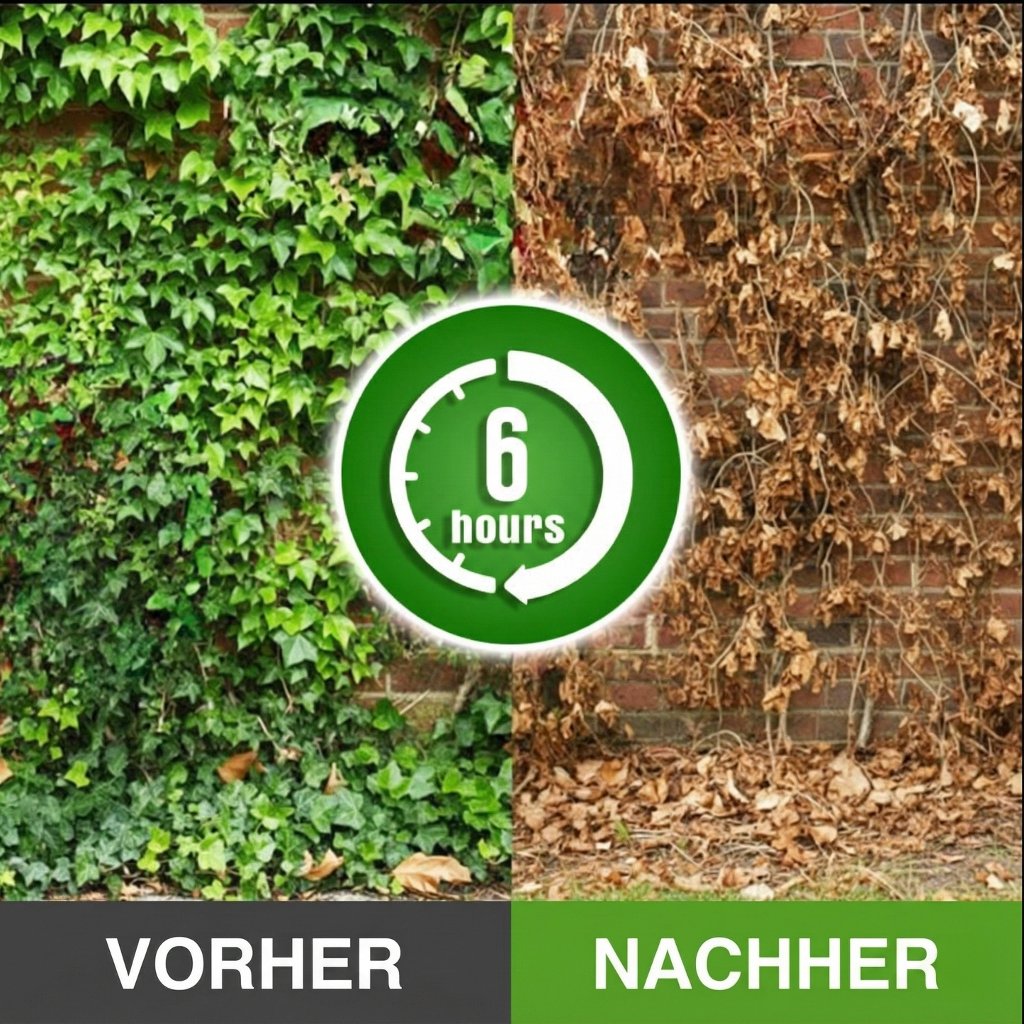 GFOUK® IvySeal Präzisions-Wurzelgel